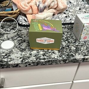 Epcot International Flower and Garden Festival 2020 Box - Green